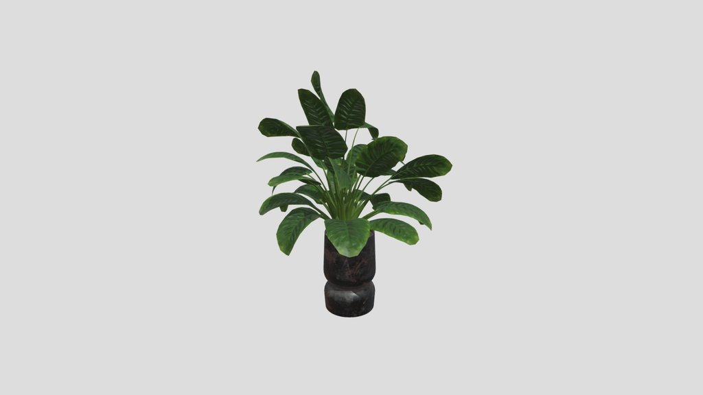 Sj Monstera 01