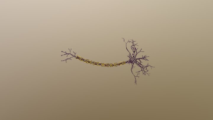 Nueron 3D Model