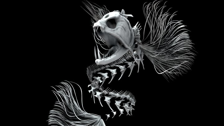 2020 Inktober - Day 01: Fish - by Mischa 3D Model