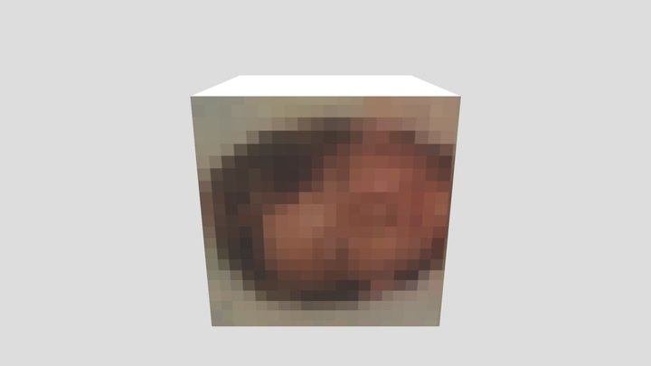 PixelFaceCube 3D Model
