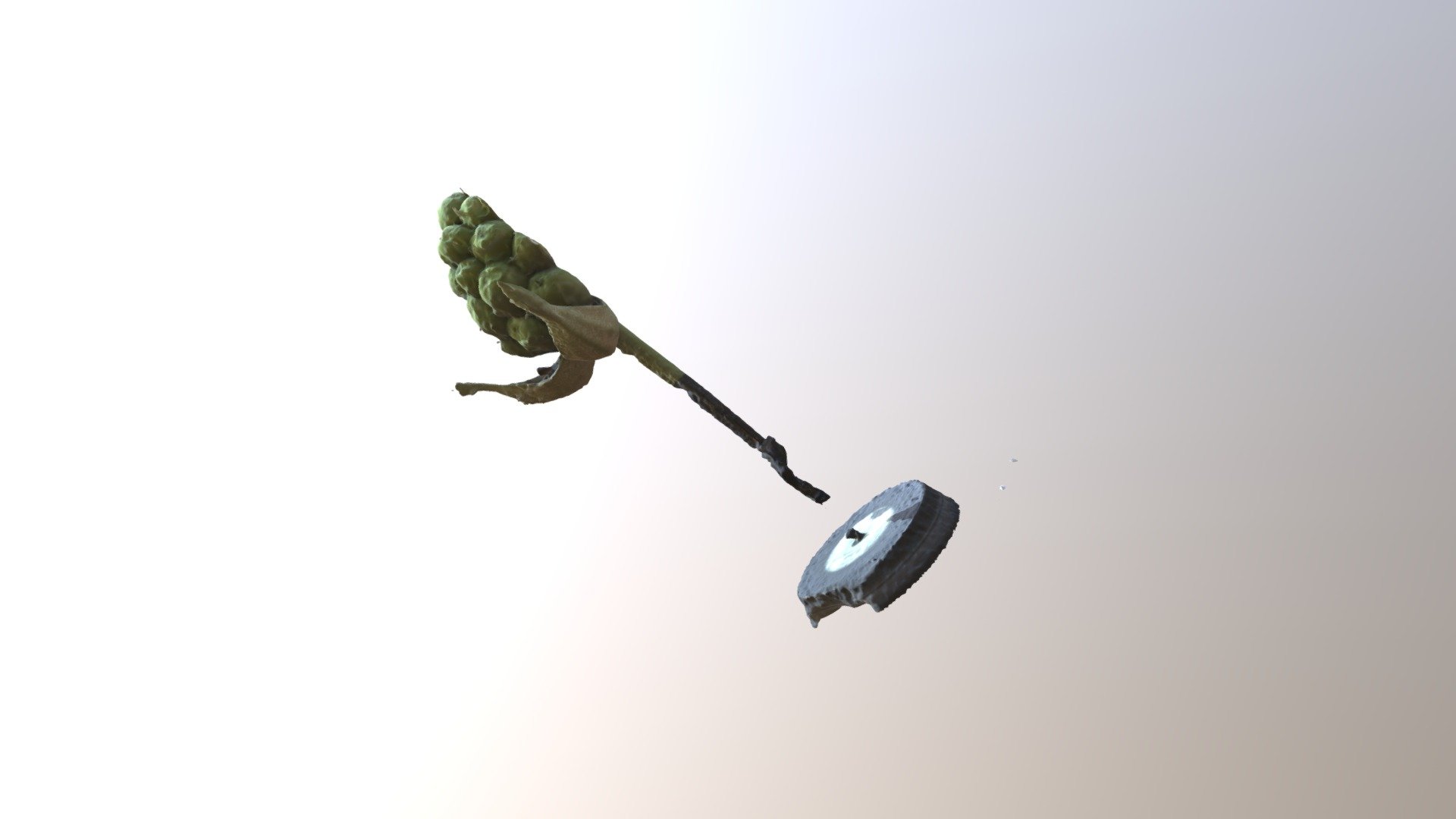 Blackberry — Sketchfab embed 3D viewer