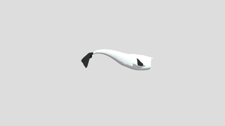 bloop.stl 3D Model