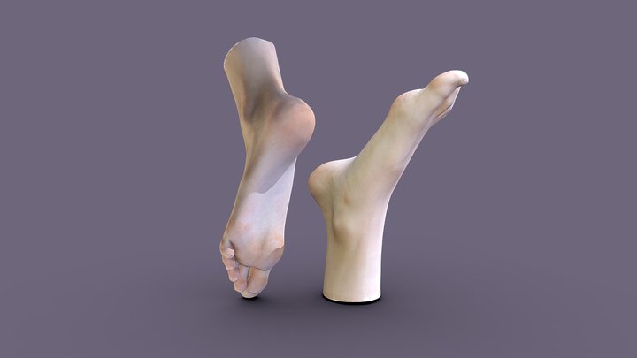 Female feet 3D Model