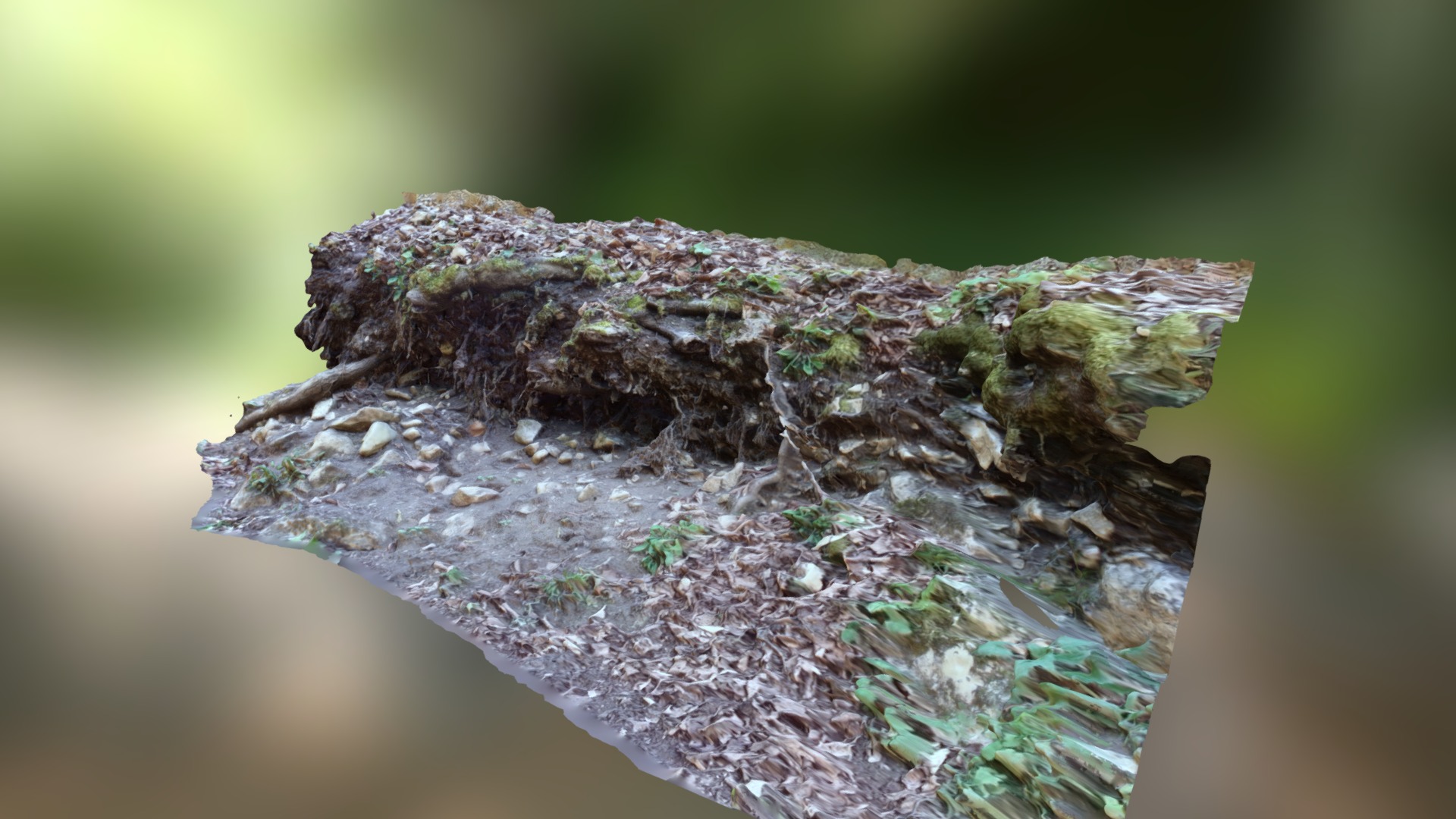 3D model wayside macro - This is a 3D model of the wayside macro. The 3D model is about a close-up of a tree stump.