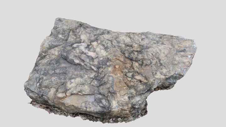 Anchisauripus and Eubrontes 3D Model