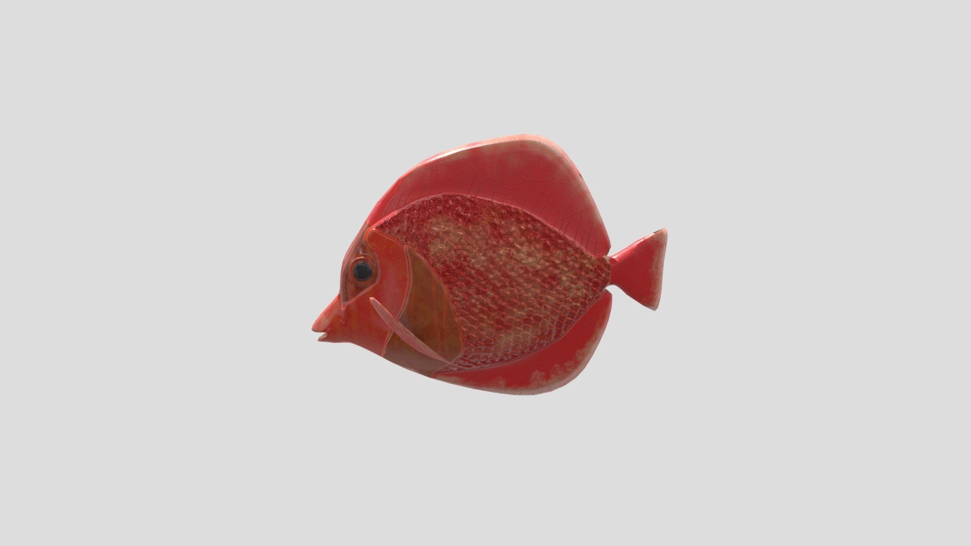 Ugly Fish