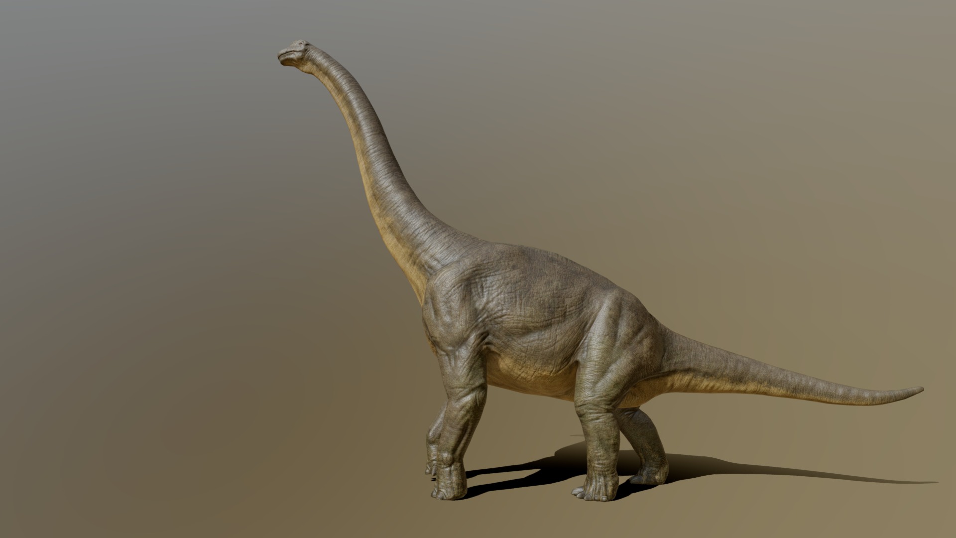 3D model Brachiosaurus (giraffatitan) - This is a 3D model of the Brachiosaurus (giraffatitan). The 3D model is about a small elephant statue.