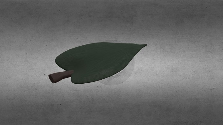 leaf 3D Model