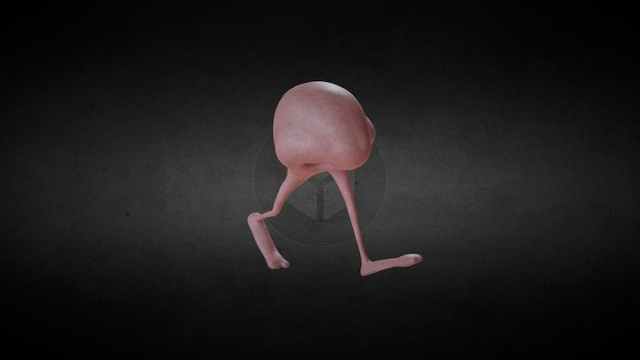 Walking Nose 3D Model