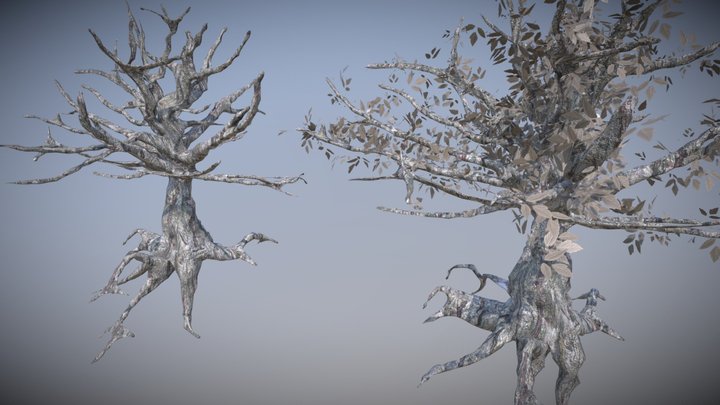 old tree 3D Model