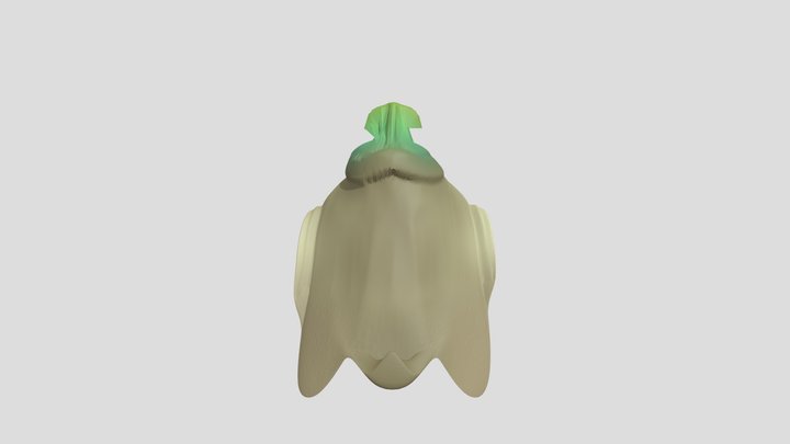 My model 3D Model