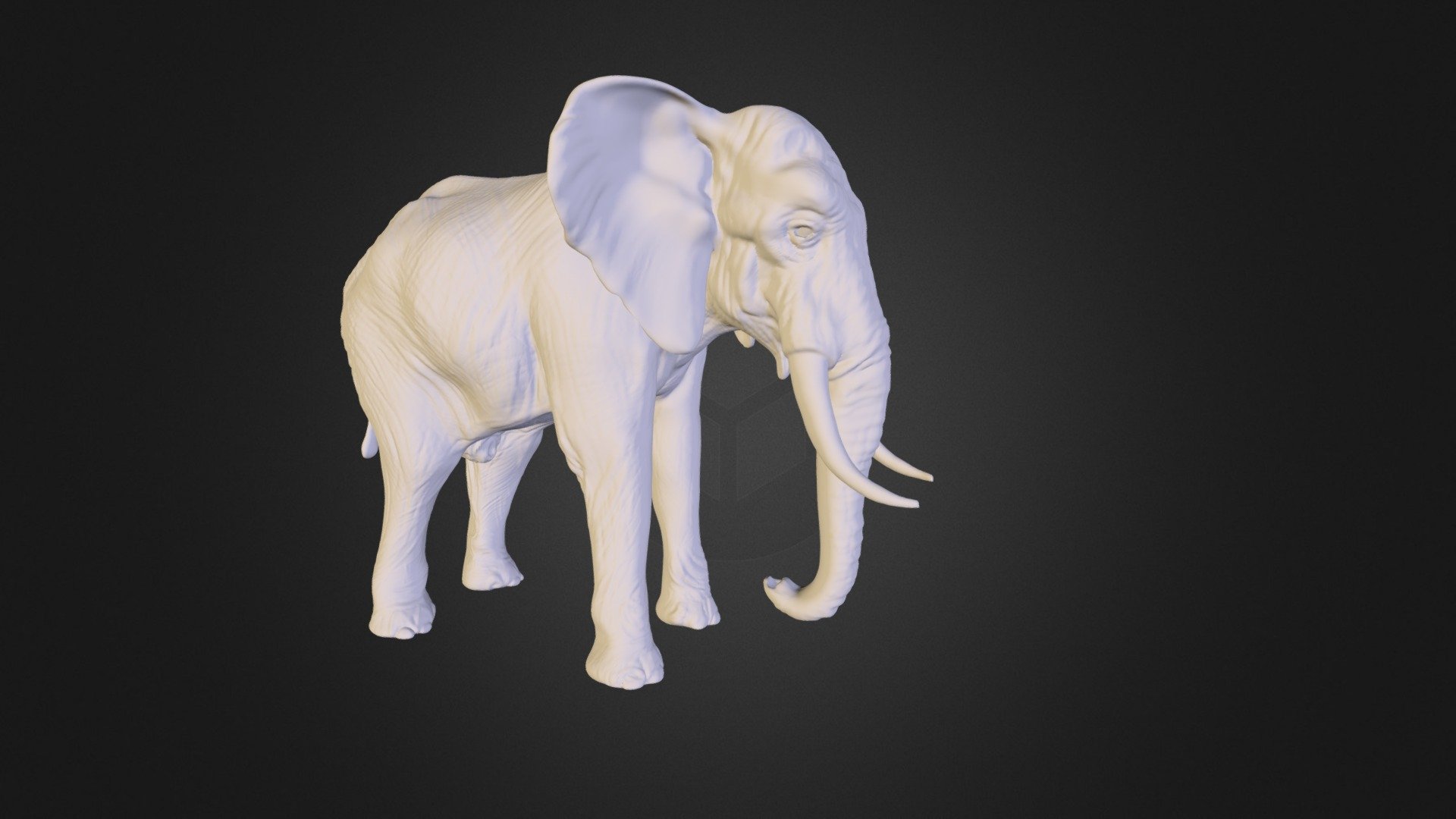 African elephant, male - 3D model by Mieke Roth (@miekeroth) [9cOrkY2 ...