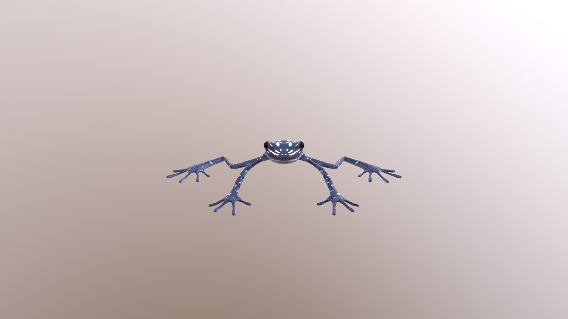 Frog_tw