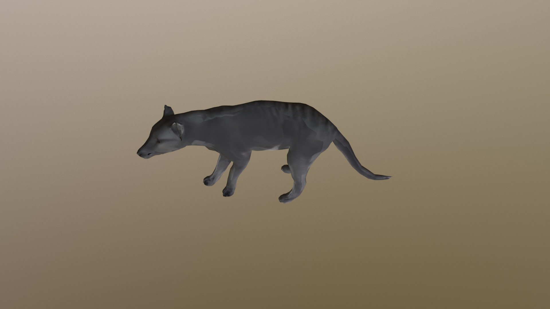 Tasmanian Tiger B Posed 7552