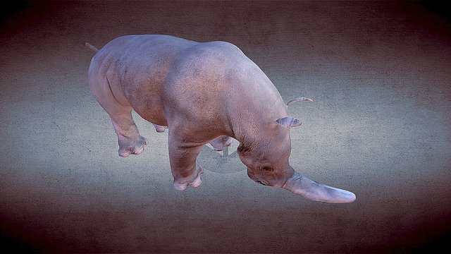 Blender Rhino 3D Model