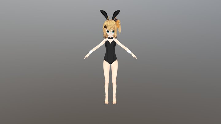 Akio Bunny Suit 3D Model