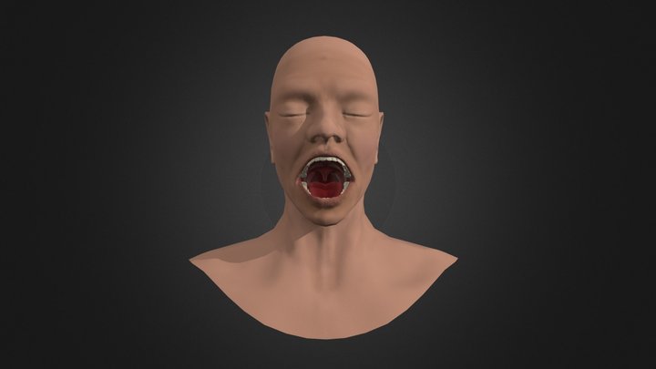 Patient Head 3D Model