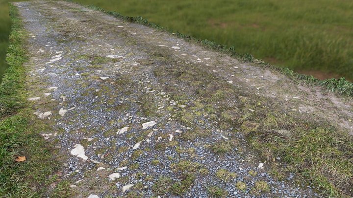 long detailed country road 3D Model