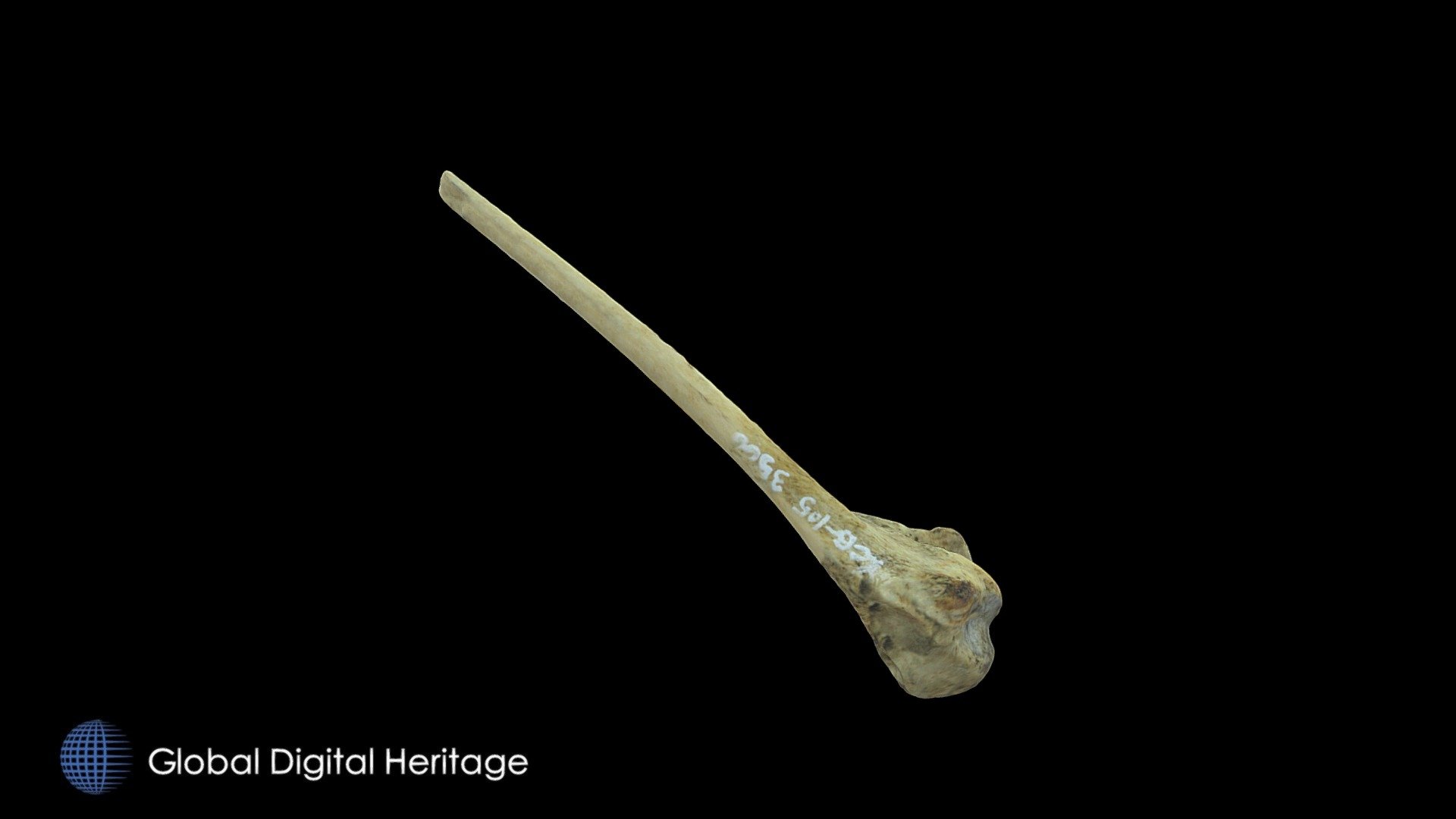 Bone Awl, XCB-105-3566