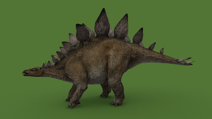 Stegosaurus 3D Model