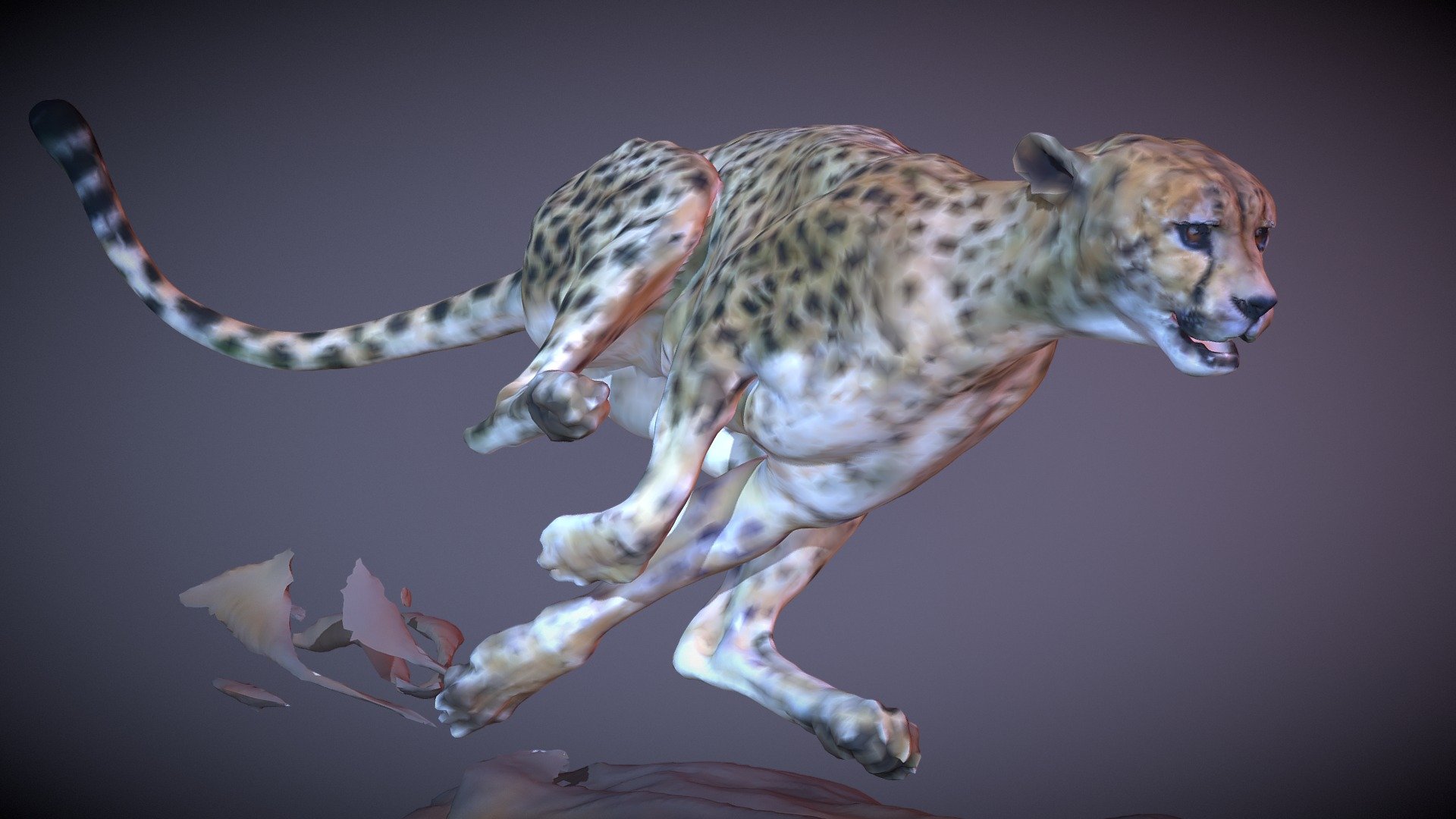 extra morph tools for cheetah 3d