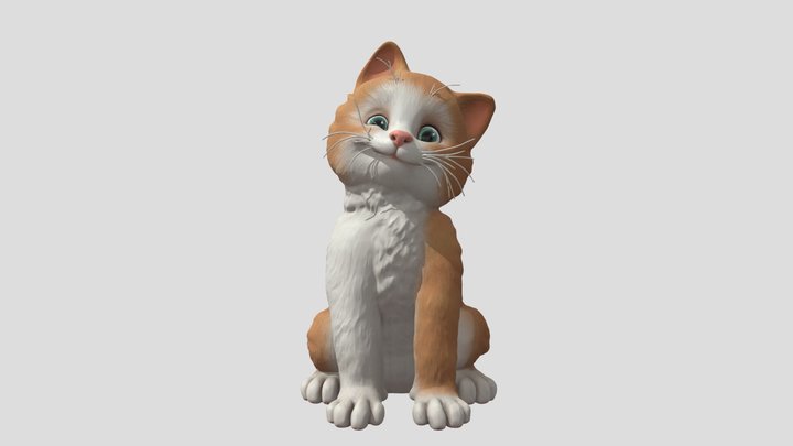 Gato