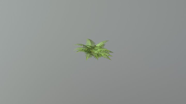 Fern Model 3D Model