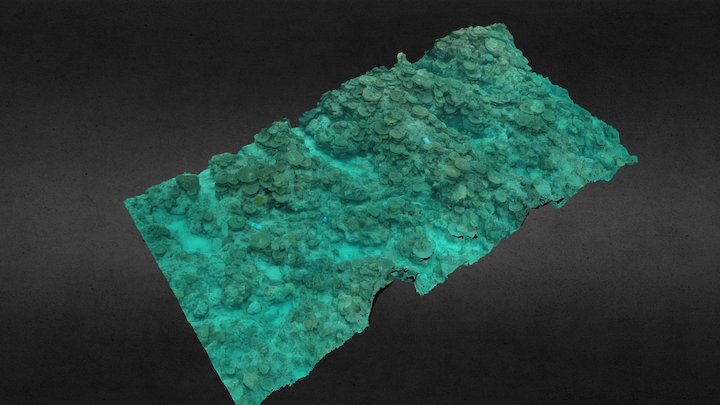 Heron Island - Blue Pools 3c Low Res 3D Model