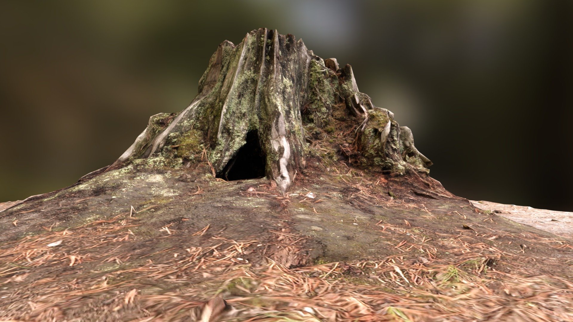 Kolvitsa stump - handheld scan