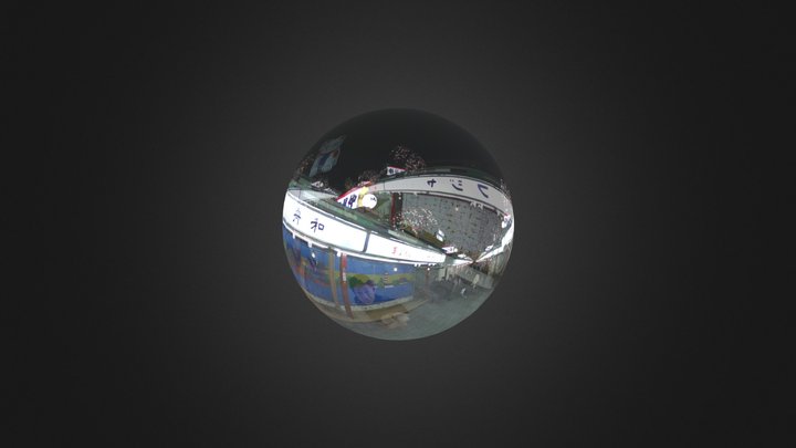 LucentPano Cat in Asakusa 3D Model