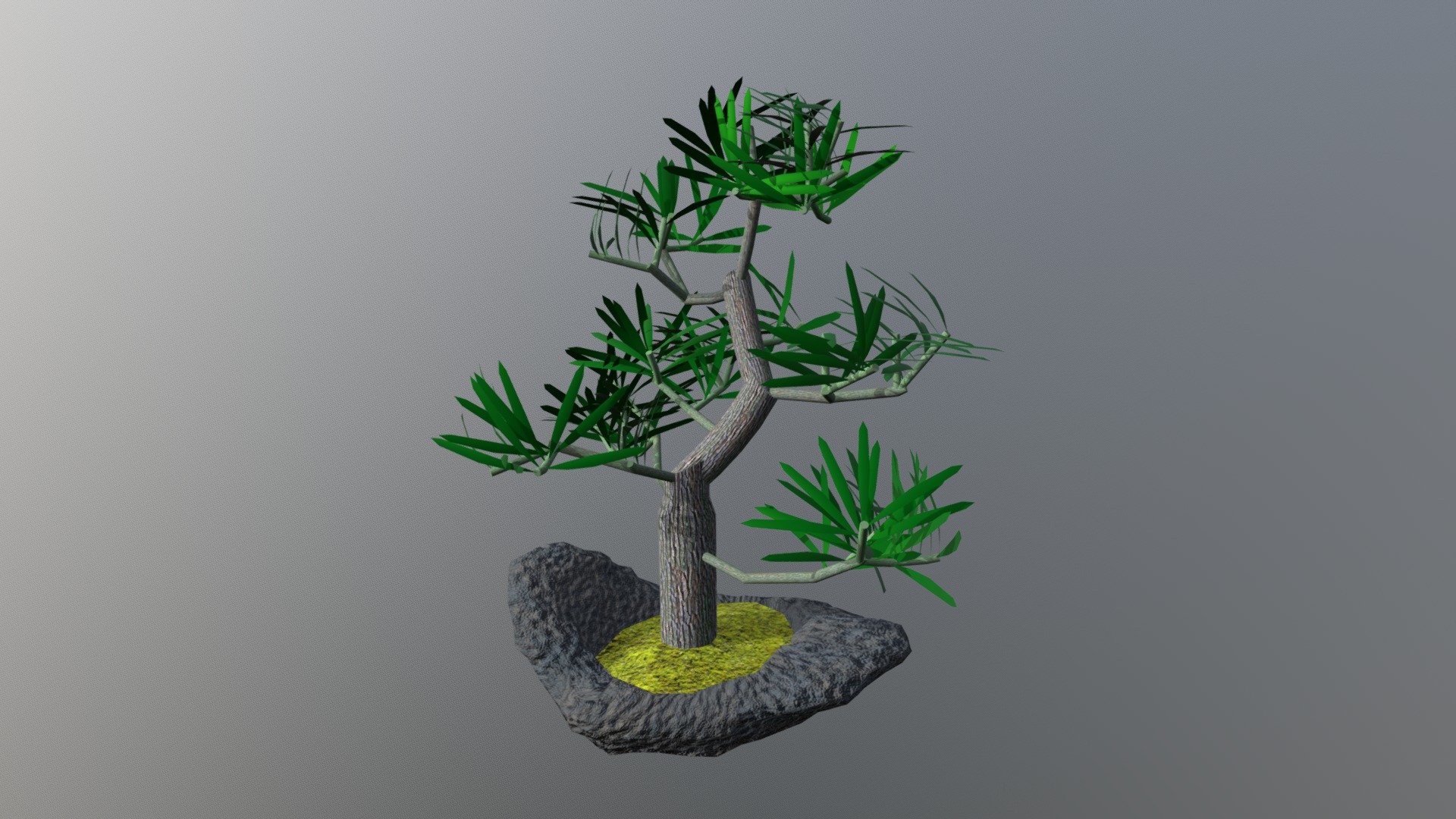 3D model Rock Grown - This is a 3D model of the Rock Grown. The 3D model is about a small tree on a rock.