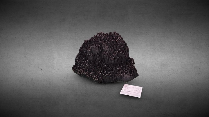 Il mio bellissimo modello 3D 3D Model