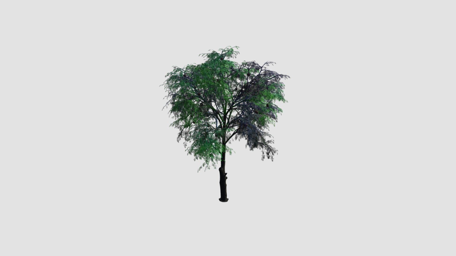 Tree - Buy Royalty Free 3D model by Evermotion [9cc3a74] - Sketchfab Store