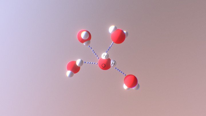 Hydrogen Bonding between Water Molecules 3D Model