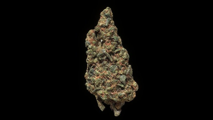 Alien ATH Nug 3D Model