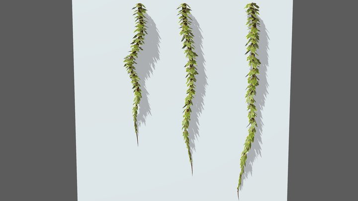 Low Poly Wall Vine 3D Model