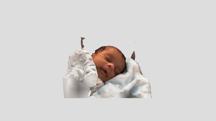 Scan LM 3D Model