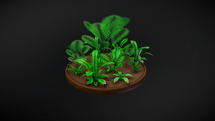 Plants