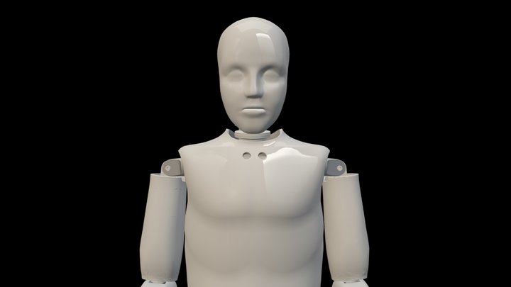 Crash Test Dummy 3D Model