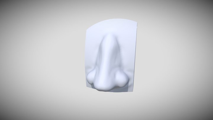 Nose Sculpt #4 3D Model