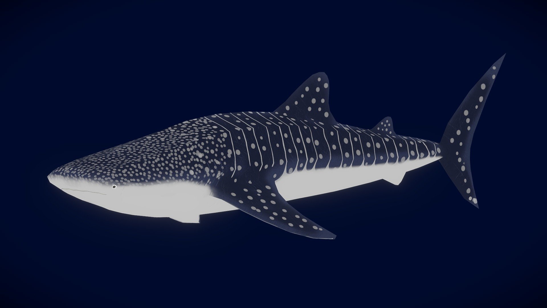 Blender Shark Model Download - Colaboratory