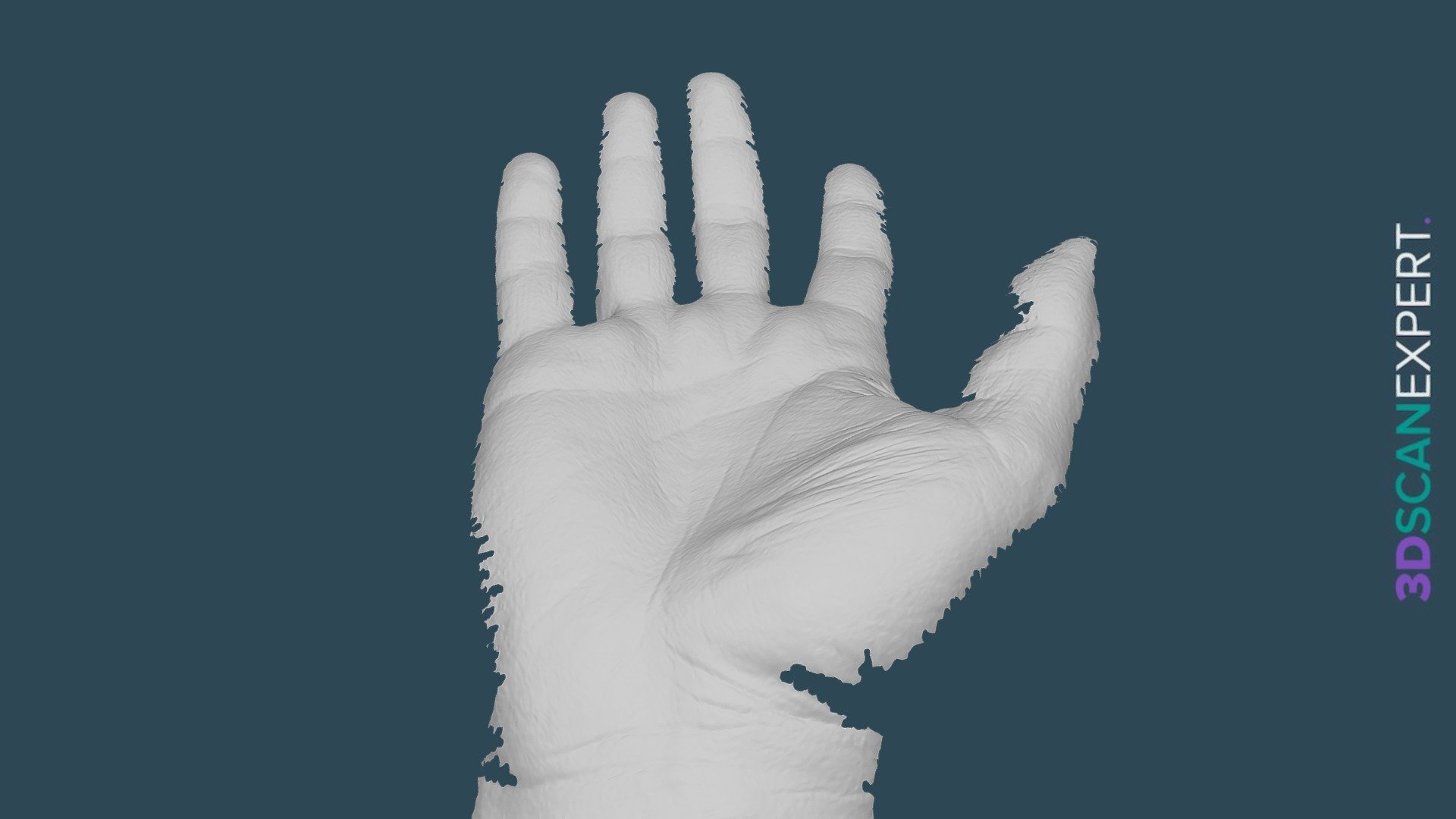 Hand — EinScan-Pro+ (Fixed Manual)