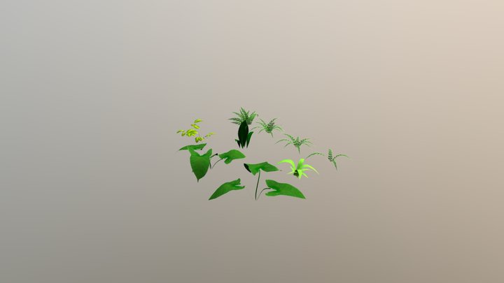 FLORA HUMANA 3D Model