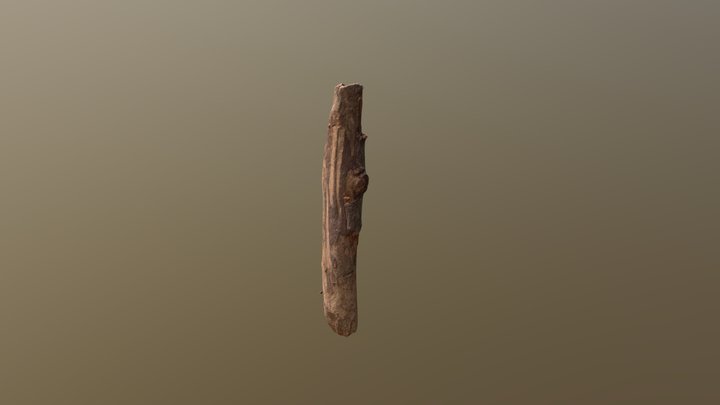 Wood Debris 3D Model
