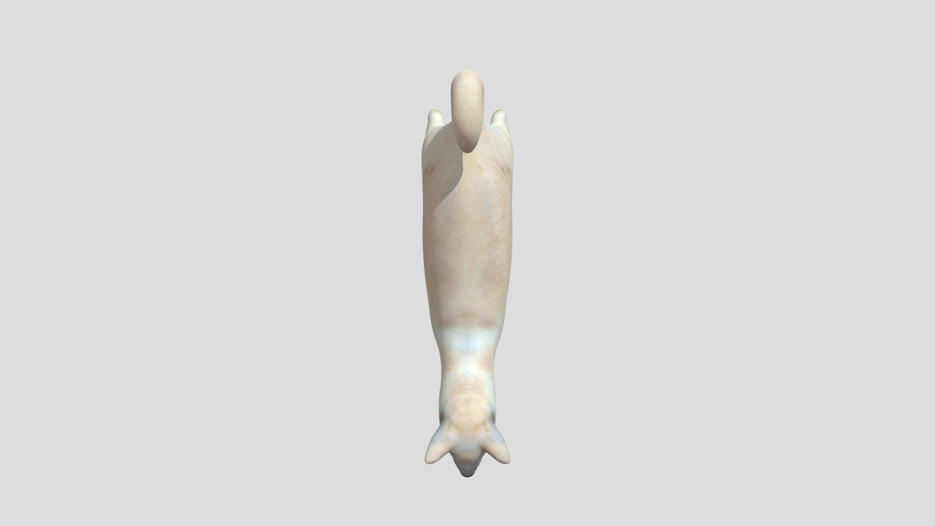 DTS4.2_CUINDA_Y1_MICHAL_E_07_Dog