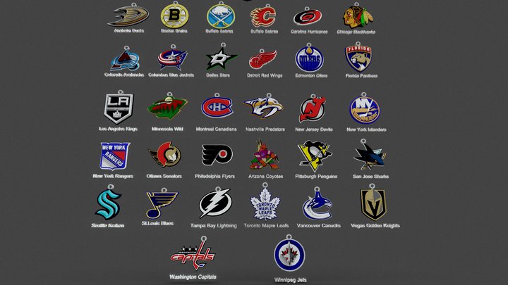 NHL All teams Printable and Renderable 3D Model