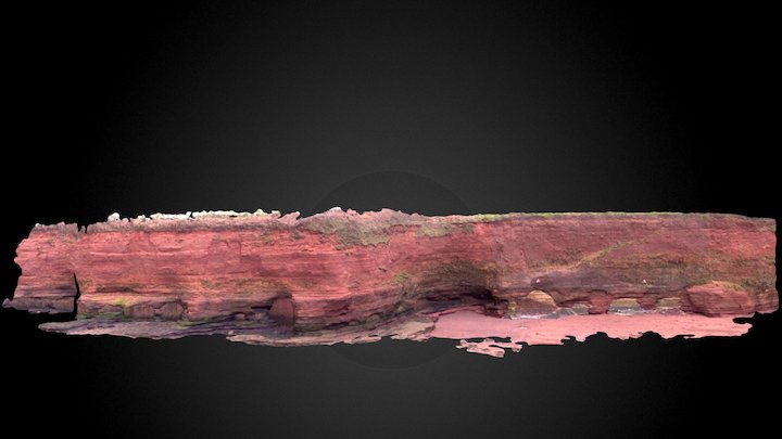 Hollicombe Southern Cliff 3D Model