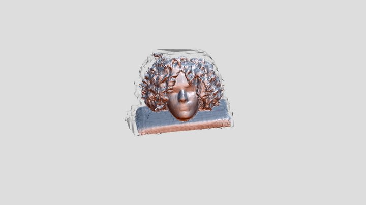 curly_wig_shells 3D Model