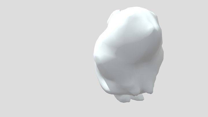 pedroto2014 (2) 3D Model