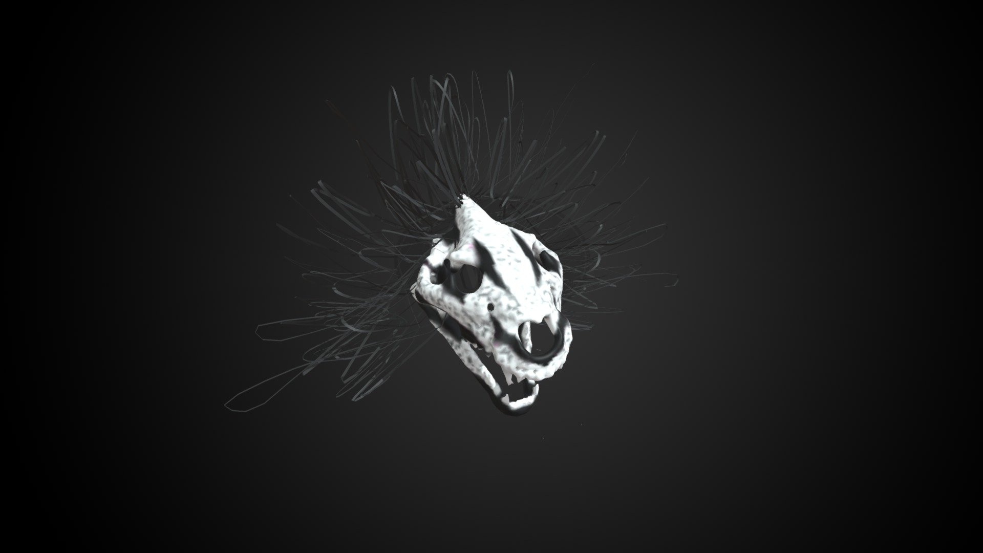PeytonTysinger_Lion